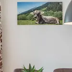 Gletscherblick Apartahotel 3*