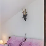 Apartahotel Gletscherblick Pusstratten