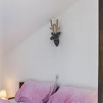 Apartahotel Gletscherblick 3*