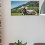 Gletscherblick